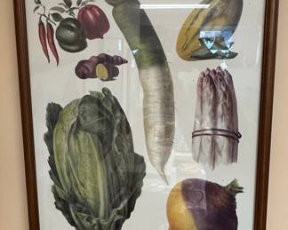 Vilmorin-Andrieux Vegetable Botanical Prints Set