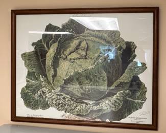 Vilmorin-Andrieux Vegetable Botanical Prints Set