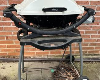 Weber Q Series Portable Grill