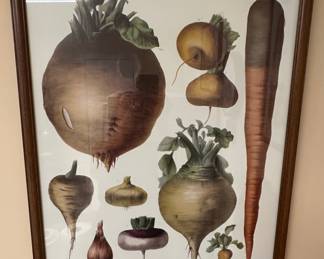 Vilmorin-Andrieux Vegetable Botanical Prints Set