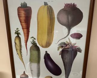 Vilmorin-Andrieux Vegetable Botanical Prints Set