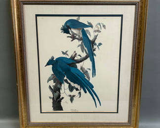Lot 35: Botanical Birds Lithograph
