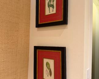 Botanical Engravings with Red Matting & Black Frames
