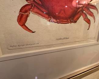Hand-Colored Copperplate Engraving of Crab