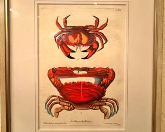 Hand-Colored Copperplate Engraving of Crab