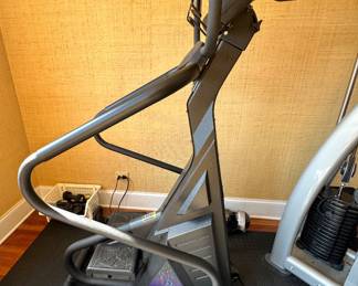 StairMaster FreeClimber Commercial Step Climber Exercise Machine