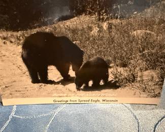 Vintage Postcards
