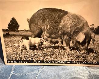 Vintage Postcards