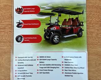 GOLF CART, Model SDLC100