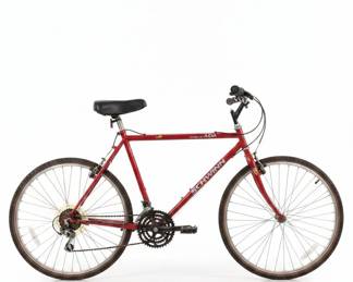 Schwinn ADA Mountain Bike