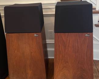 Ohm Walsh 2 Speakers