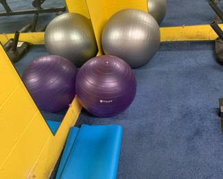 Balance Balls