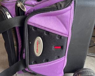 Rolling bowling case