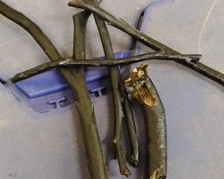 Black Coral sticks