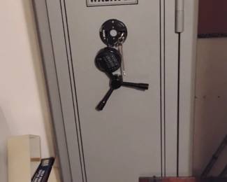 Wsawatch Gun Safe