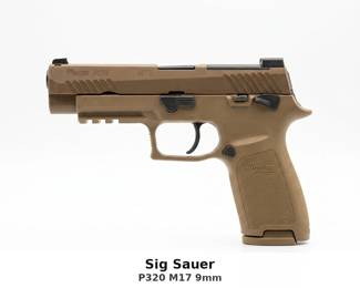 sigsauerp320m179mm