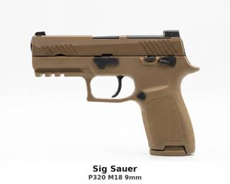 sigsauerp320m189mm
