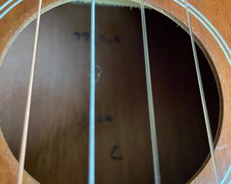 $250.  Mahogany Concert Ukulele. It features a brown mahogany wood finish and includes a patterned strap.The instrument is 23 inches long, making it a standard concert size