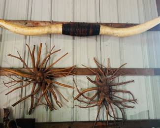 Aprox 9' Longhorns 