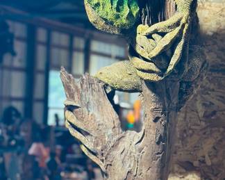 Very tall green painted iguana on wood