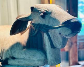 33" Long this fabulous Zebu  sculpture realistic eye brows and whiskers 