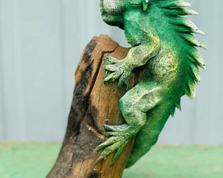 Green iguana sculpture resin on Driftwood
