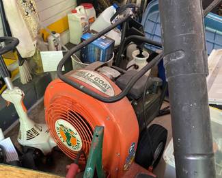 Leaf blower