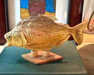 Taxidermy Piranha 