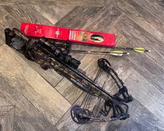 Ten point cross bow