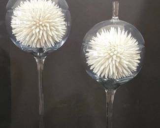 Set of Two Glass Cloche Vases with White Craspedia Inserts