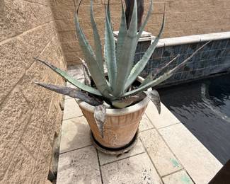 Hammond Blue Moon Estate Sale w/ Mid-Century Furniture, Art & Bronze Statues
