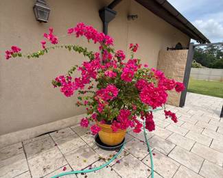 Hammond Blue Moon Estate Sale w/ Mid-Century Furniture, Art & Bronze Statues