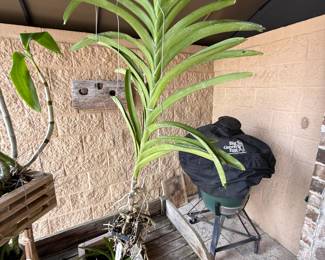 Hammond Blue Moon Estate Sale w/ Mid-Century Furniture, Art & Bronze Statues
