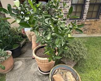 Hammond Blue Moon Estate Sale w/ Mid-Century Furniture, Art & Bronze Statues