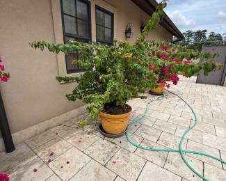 Hammond Blue Moon Estate Sale w/ Mid-Century Furniture, Art & Bronze Statues