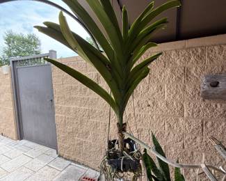 Hammond Blue Moon Estate Sale w/ Mid-Century Furniture, Art & Bronze Statues