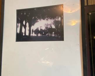 Framed Photograph of HorseDrawn Carriages in a Park