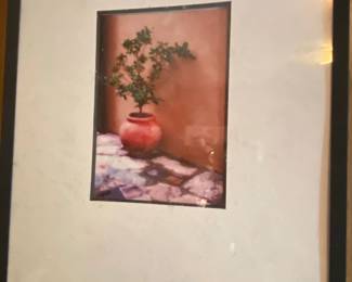 Framed Photograph of Potted Plant