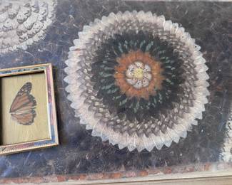 Butterfly wing collage 