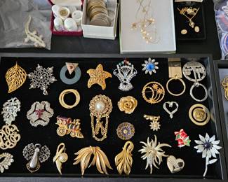 Broaches and pins
