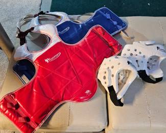 Karate sparring equipment 