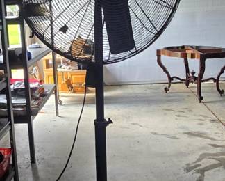 Fan