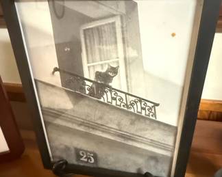 Framed Black and White Photograph of a Cat on a Balcony, possibly by Edouard Golbin