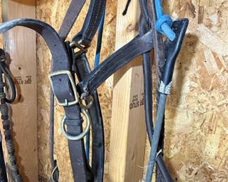 Western Horse Bridles and Reins Set with Braided Accents