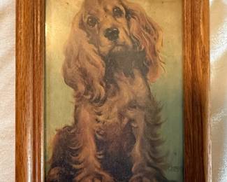 Cocker Spaniel Dog Portrait Print by Diana Thorne