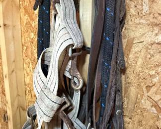 Western Horse Bridles and Reins Set with Braided Accents