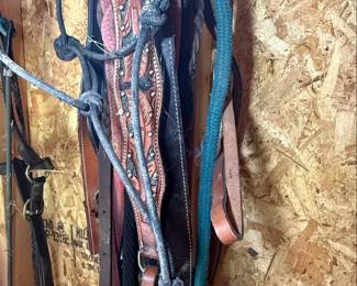 Western Horse Bridles and Reins Set with Braided Accents