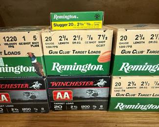 Remington and Winchester 20-Gauge Shotgun Shells