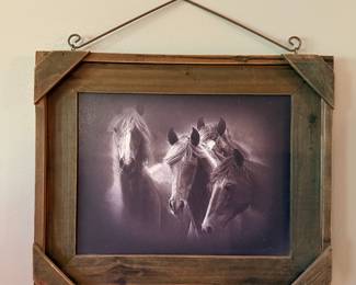 Black and White Horse Photograph