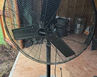 Central Machinery 30-Inch Industrial Pedestal Fan